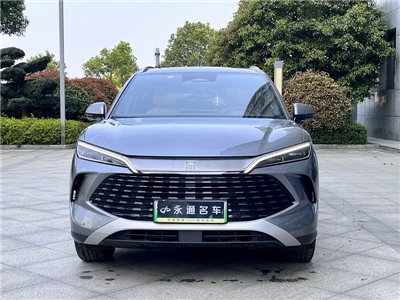 2024 BYD Song L DM-i 112 km Transcend Edition